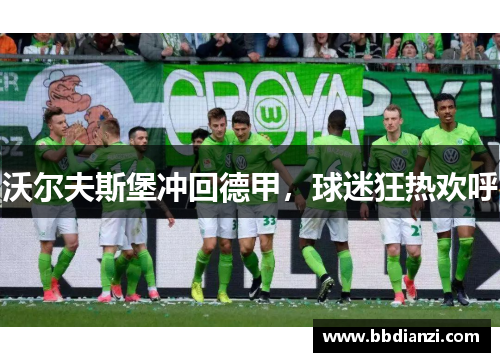沃尔夫斯堡冲回德甲，球迷狂热欢呼