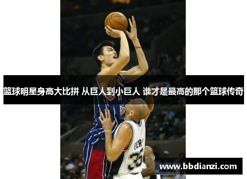 篮球明星身高大比拼 从巨人到小巨人 谁才是最高的那个篮球传奇